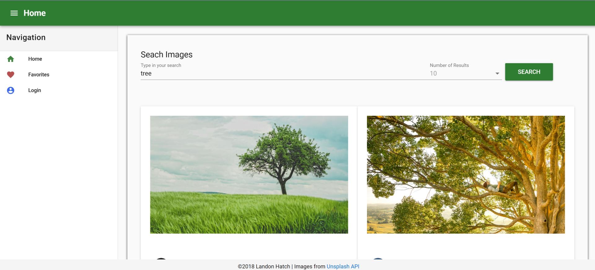 VueJS image search front-end